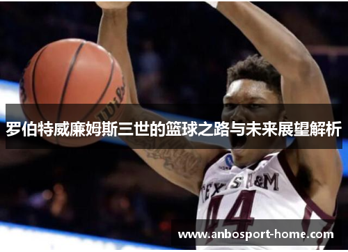 罗伯特威廉姆斯三世的篮球之路与未来展望解析